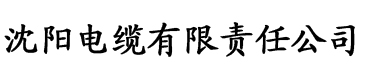 亚洲三级无码经典三级电缆厂logo